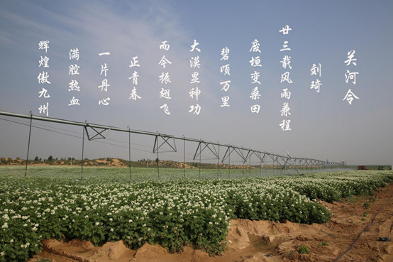 权门国际·(中国游)官方网站