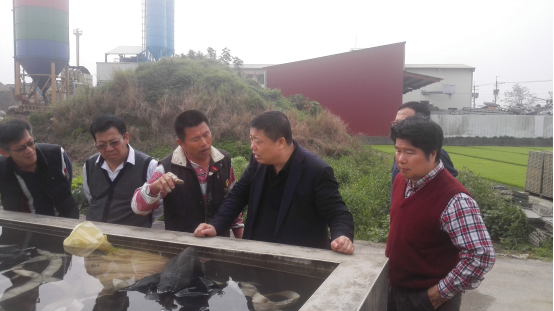 权门国际·(中国游)官方网站