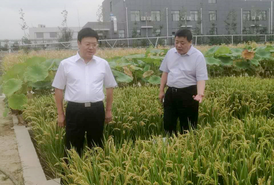 权门国际·(中国游)官方网站