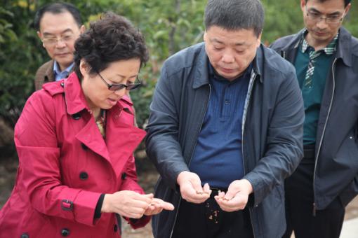 权门国际·(中国游)官方网站