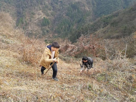 权门国际·(中国游)官方网站