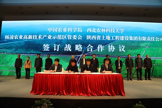 权门国际·(中国游)官方网站