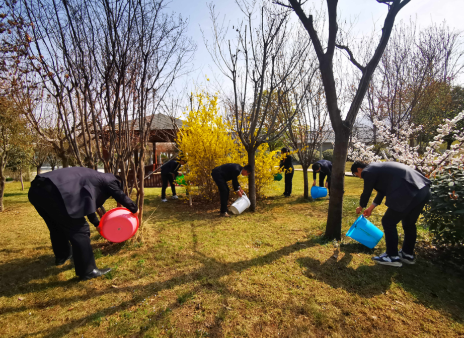 地建研究院组织开展植树护绿运动 -  豪门国际