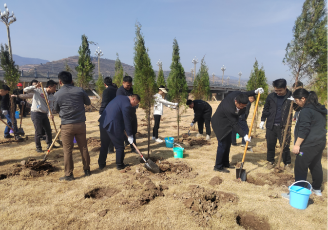 地建关天公司联合光泰咨询公司开展植树运动 -  豪门国际